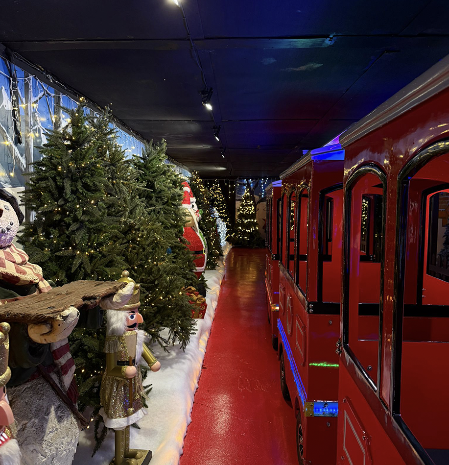 havenshouse-grottotrain